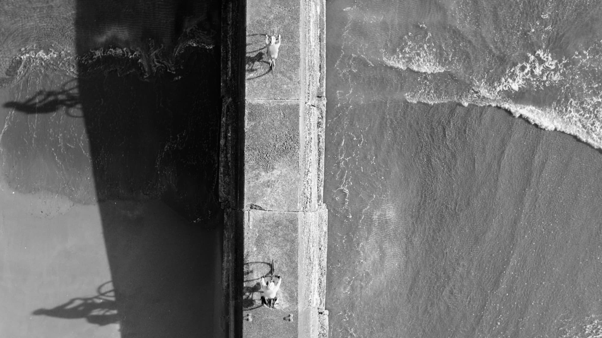 Requirements to fly a drone in Japan (2024 update)