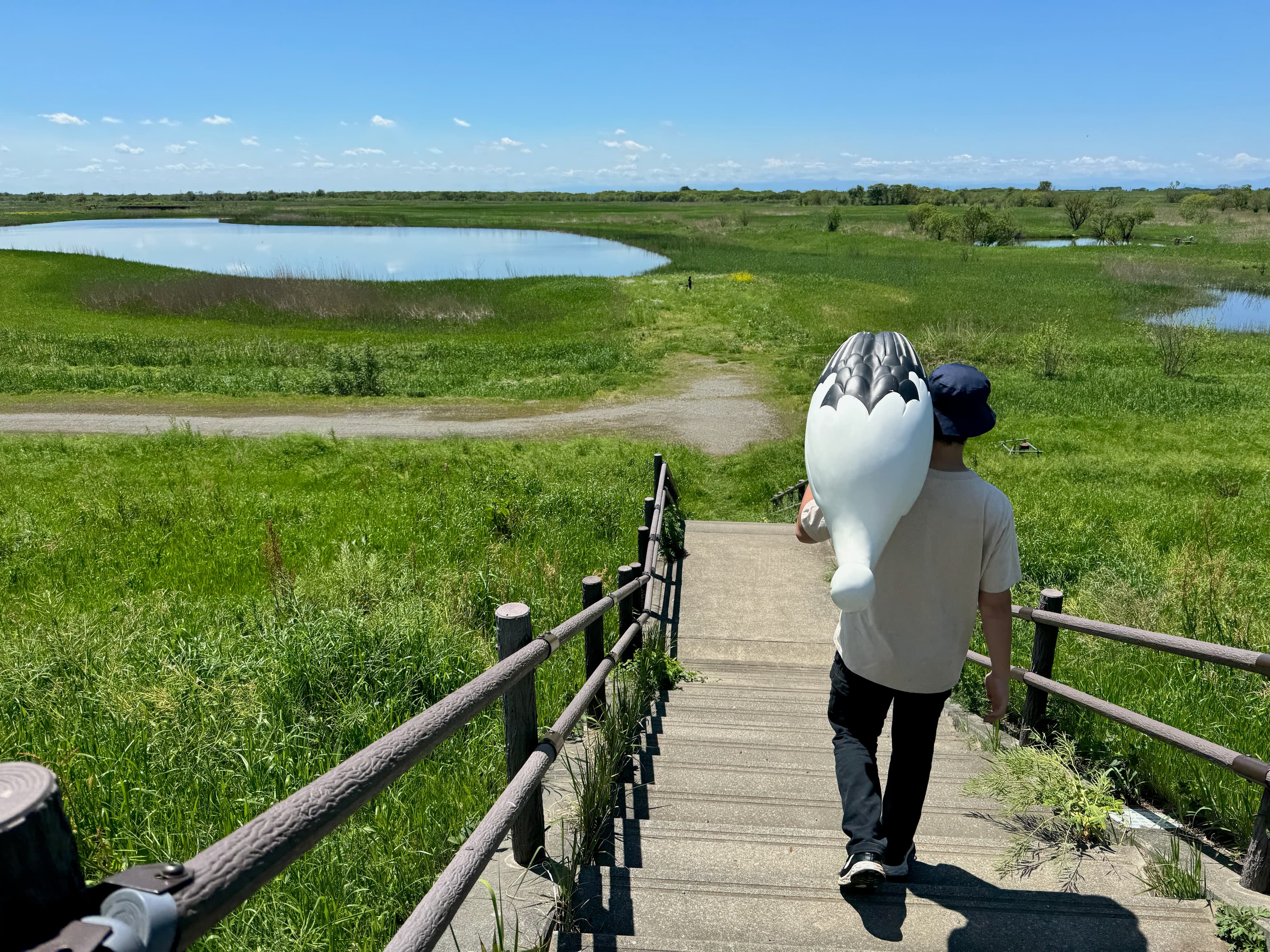 Case study: Using video to tell the story of Google’s contribution to a water conservation project