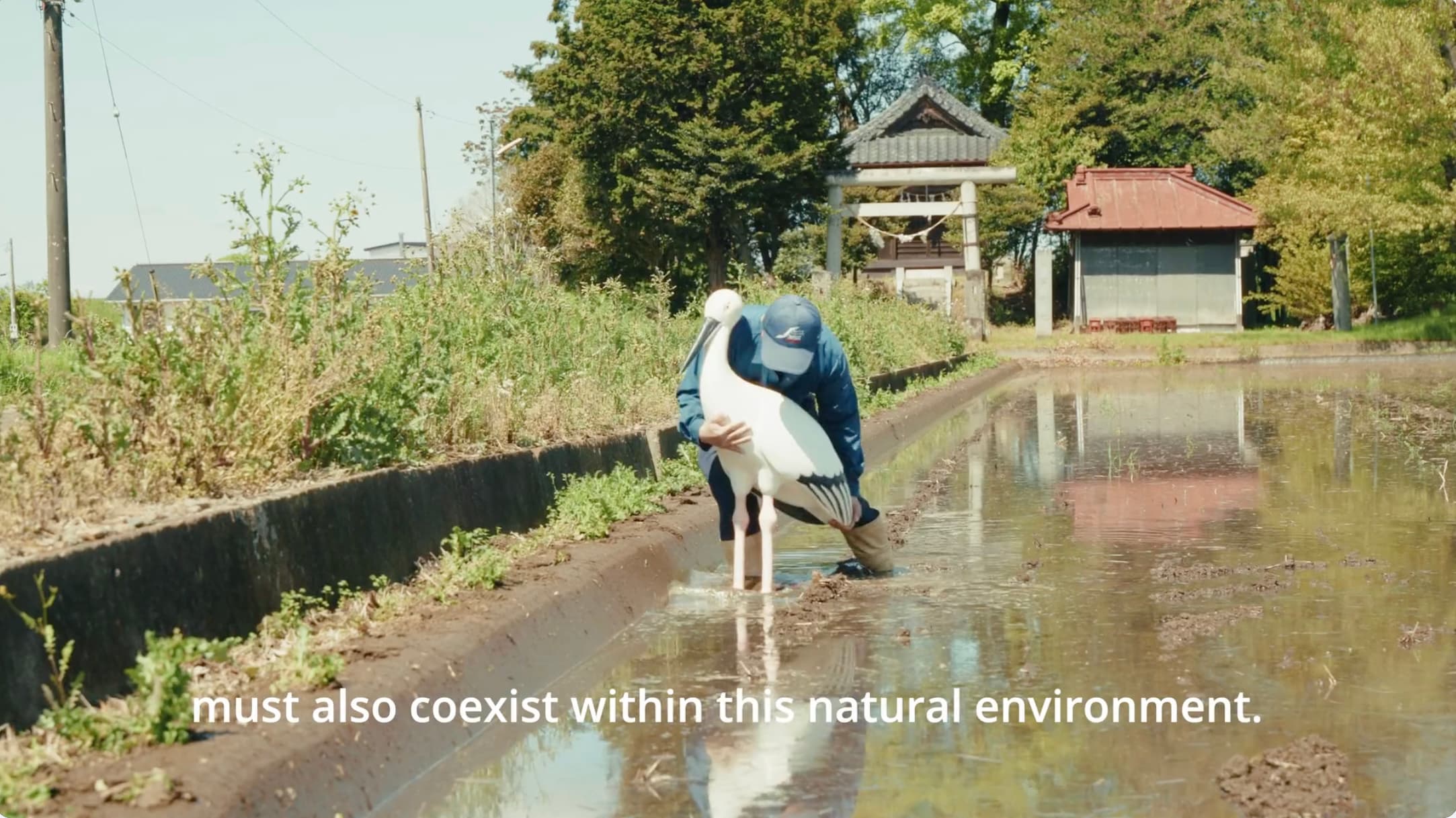 Case study: Using video to tell the story of Google’s contribution to a water conservation project — image 5