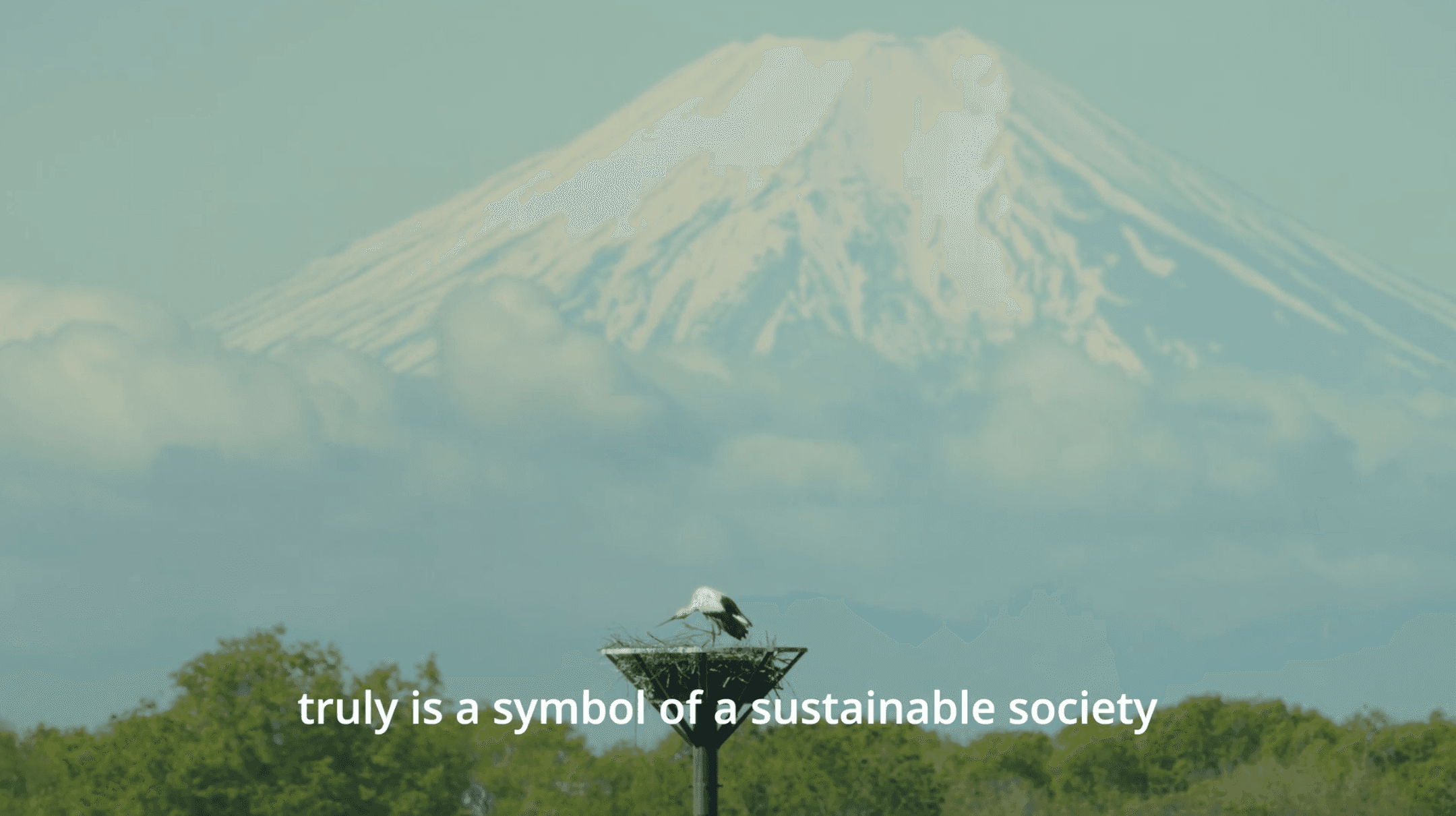 Case study: Using video to tell the story of Google’s contribution to a water conservation project — image 4